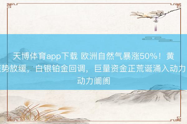 天博体育app下载 欧洲自然气暴涨50%!黄金涨势放缓,白银铂金回调,巨量资金正荒诞涌入动力阛阓