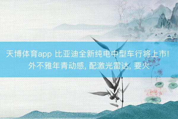 天博体育app 比亚迪全新纯电中型车行将上市! 外不雅年青动感, 配激光雷达, 要火