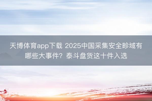 天博体育app下载 2025中国采集安全畛域有哪些大事件？泰斗盘货这十件入选