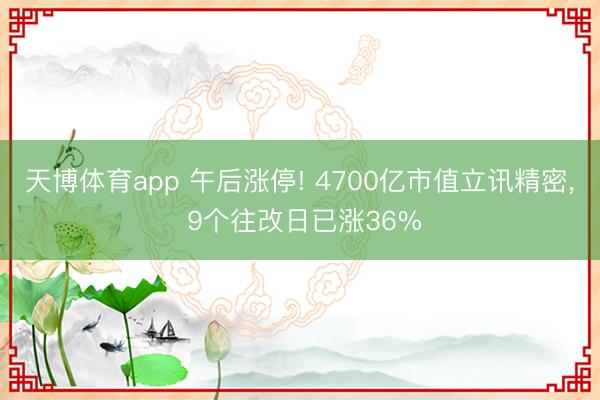 天博体育app 午后涨停! 4700亿市值立讯精密, 9个往改日已涨36%