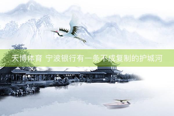 天博体育 宁波银行有一条不成复制的护城河