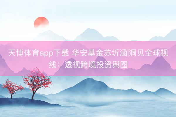 天博体育app下载 华安基金苏圻涵|洞见全球视线：透视跨境投资舆图